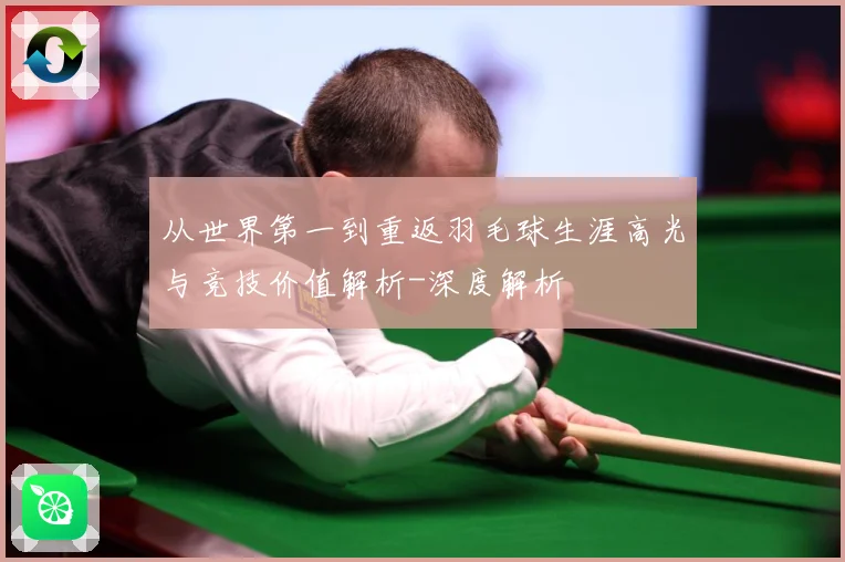 从世界第一到重返羽毛球生涯高光与竞技价值解析-深度解析